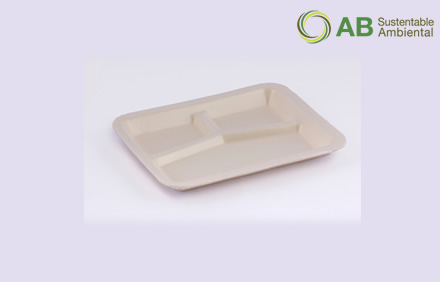 PL9D  | Plato rectangular con división PL9D degradable 